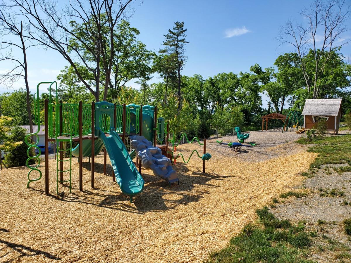 Single Island Shores Hector Exterior foto