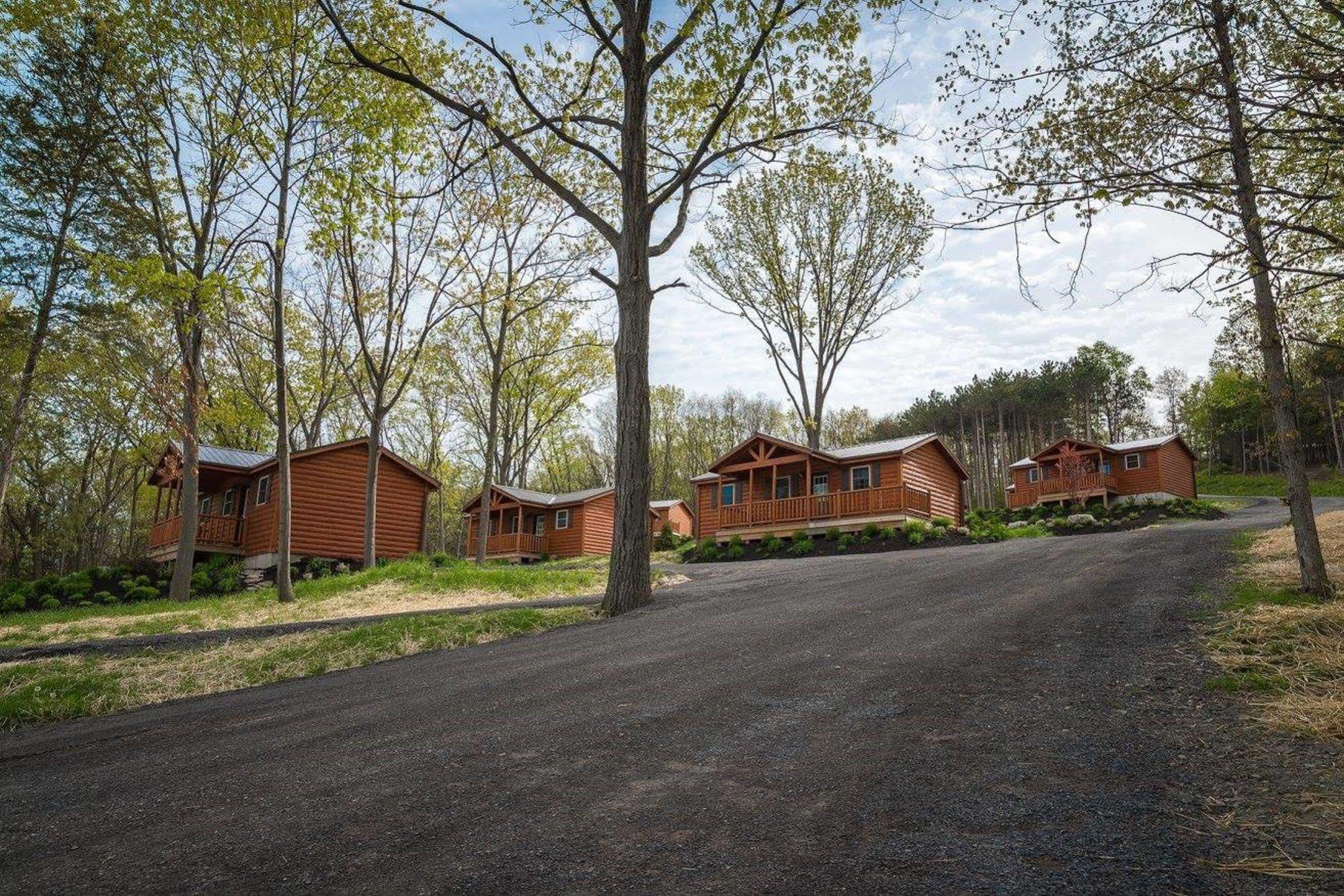 Single Island Shores Hector Exterior foto